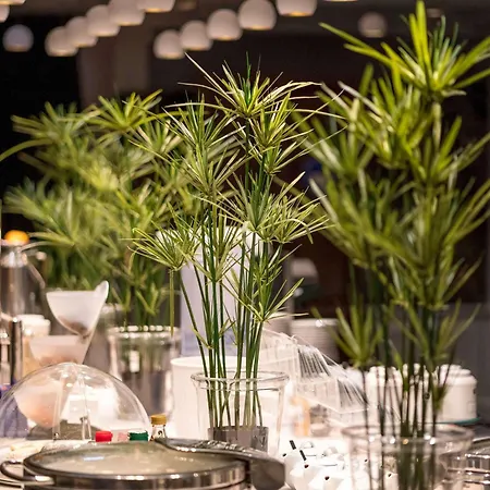 Aigle Noir - Mgallery Collection