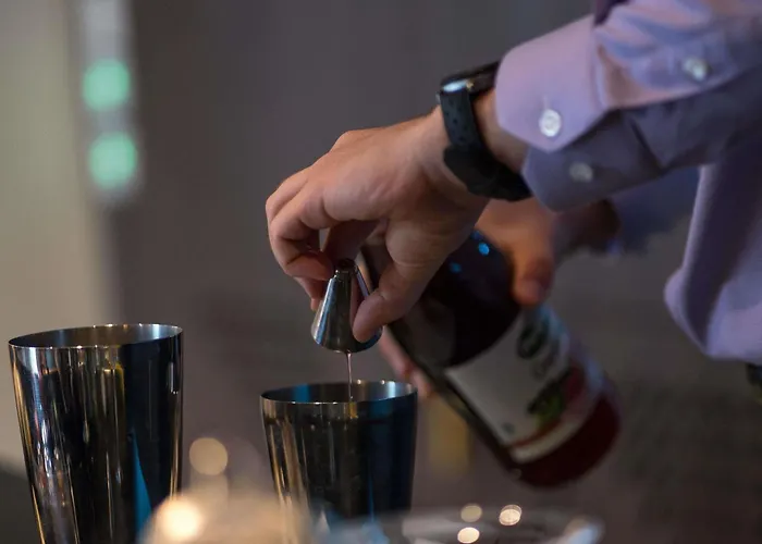 Aigle Noir - Mgallery Collection 4* フォンテーヌブロー